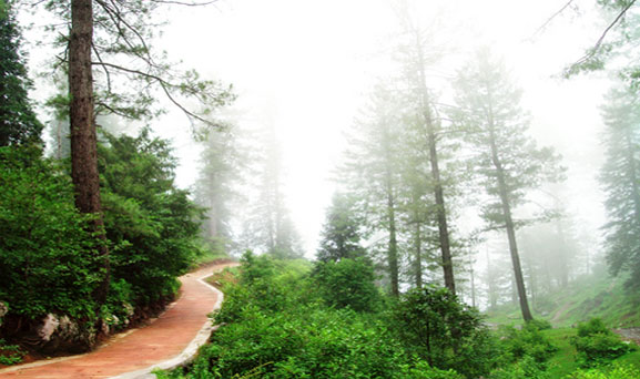Daringbadi