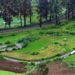 Ooty-Railways