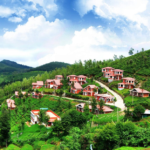 Picturesque-Ooty