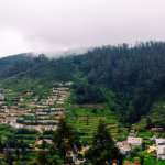 ooty