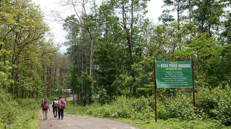 Buxa-Tiger-Reserve-Forest